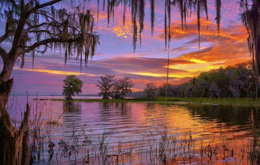 Cypress trees draped in Spanish moss reflect vibrant sunset colors in calm swamp water. — Highland Park Background