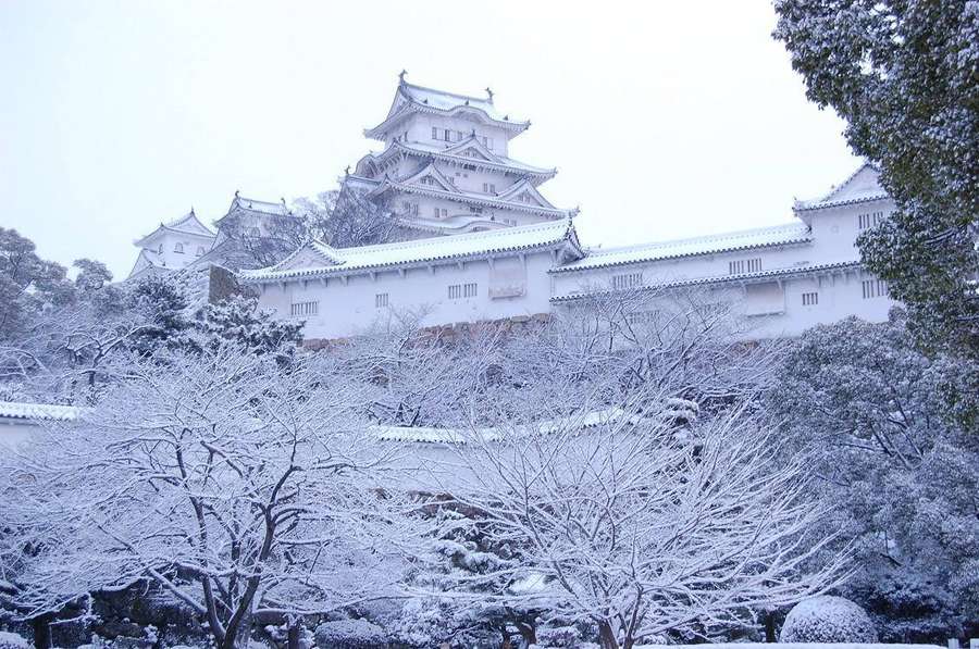 A historic Japanese castle blanketed in snow with snow-laden trees in foreground. — Himeji Wallpaper