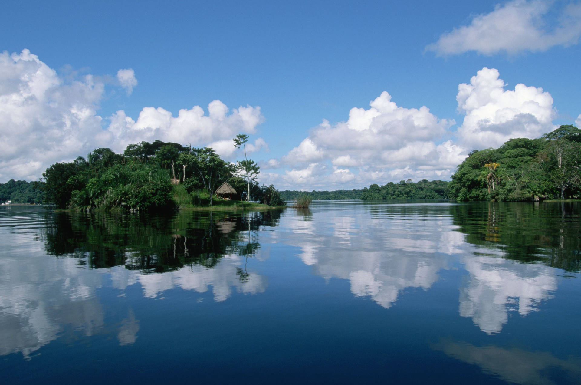 Hintergrund Amazonas