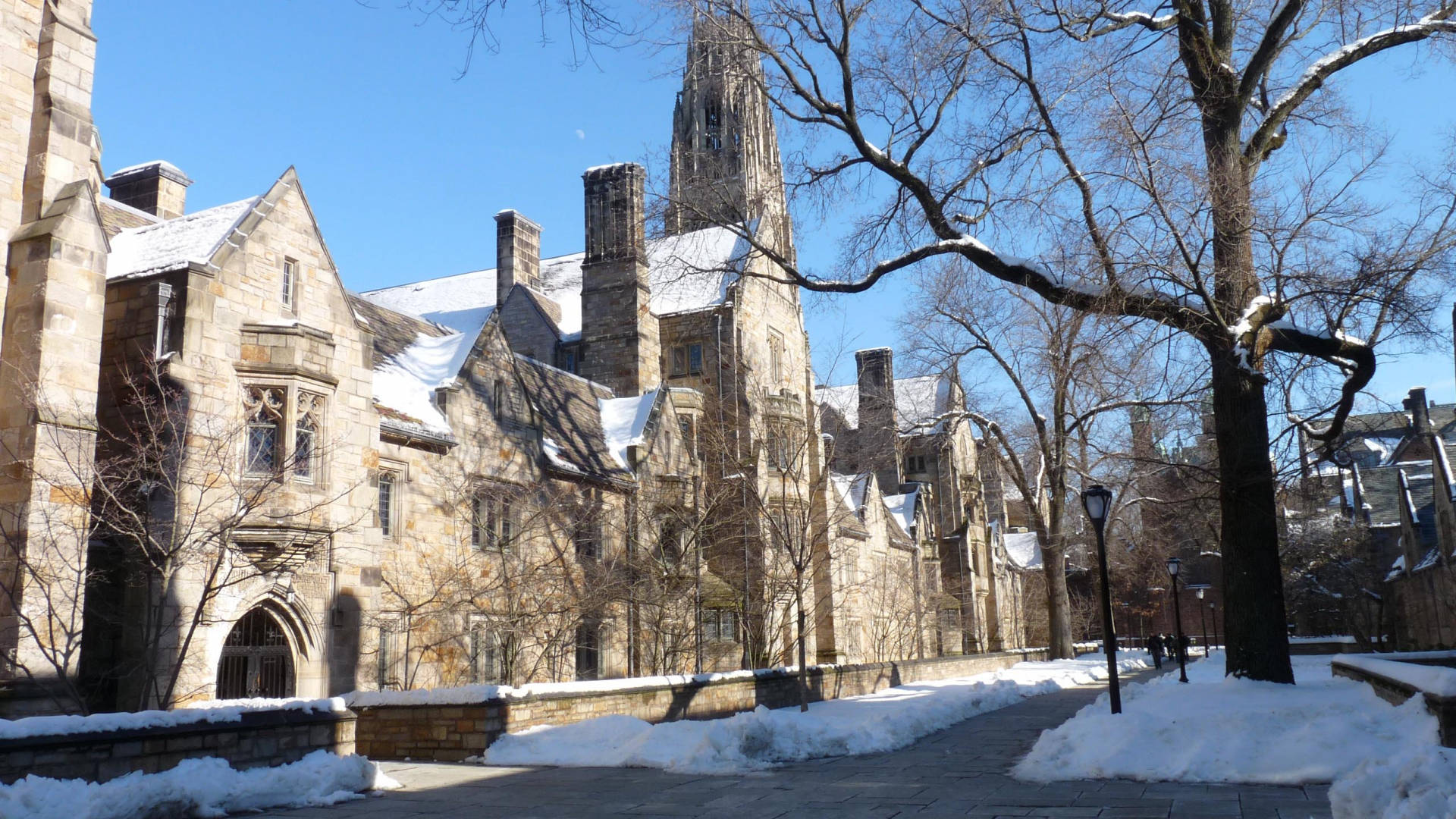 Hintergrund Der Yale University