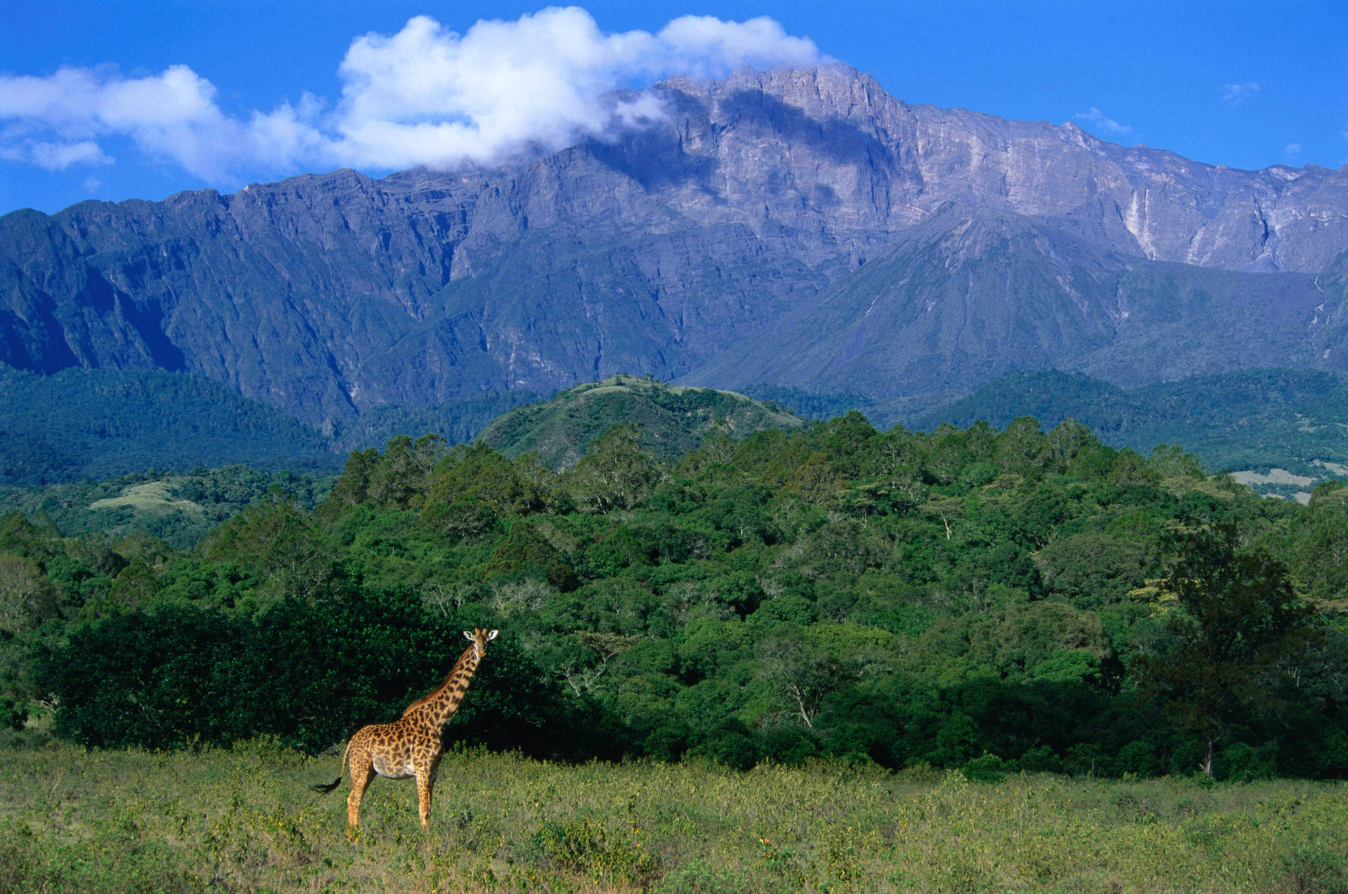 Hintergrund In Tansania