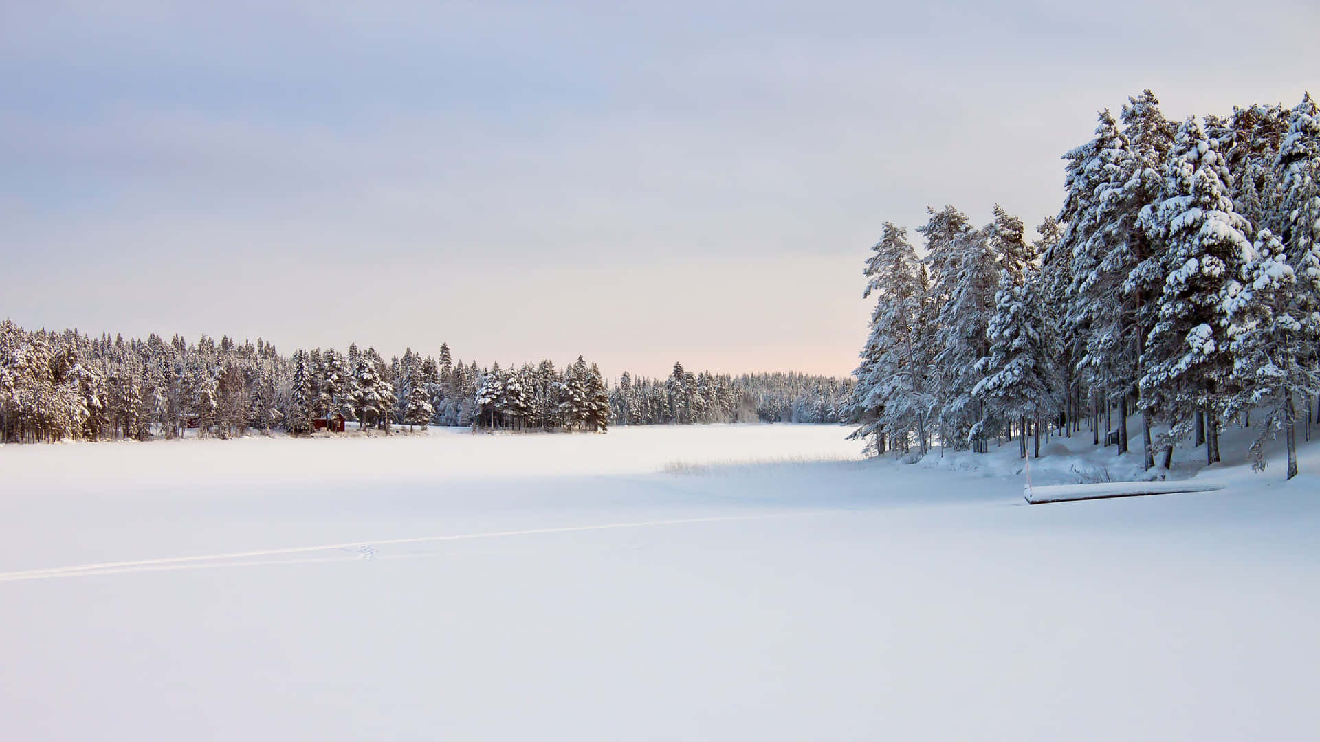 Hiver Hd Bureau Fond d'écran