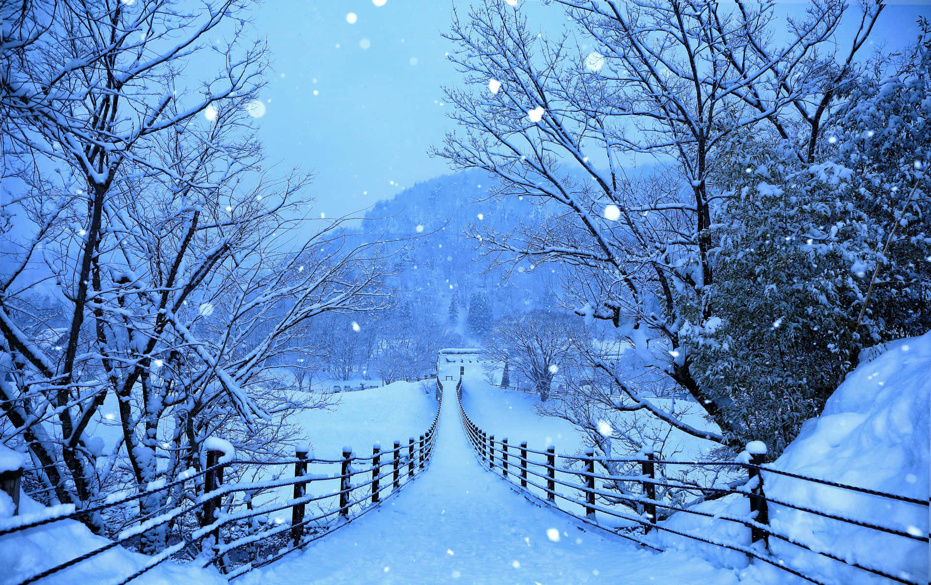 Hiver Magnifique Fond d'écran