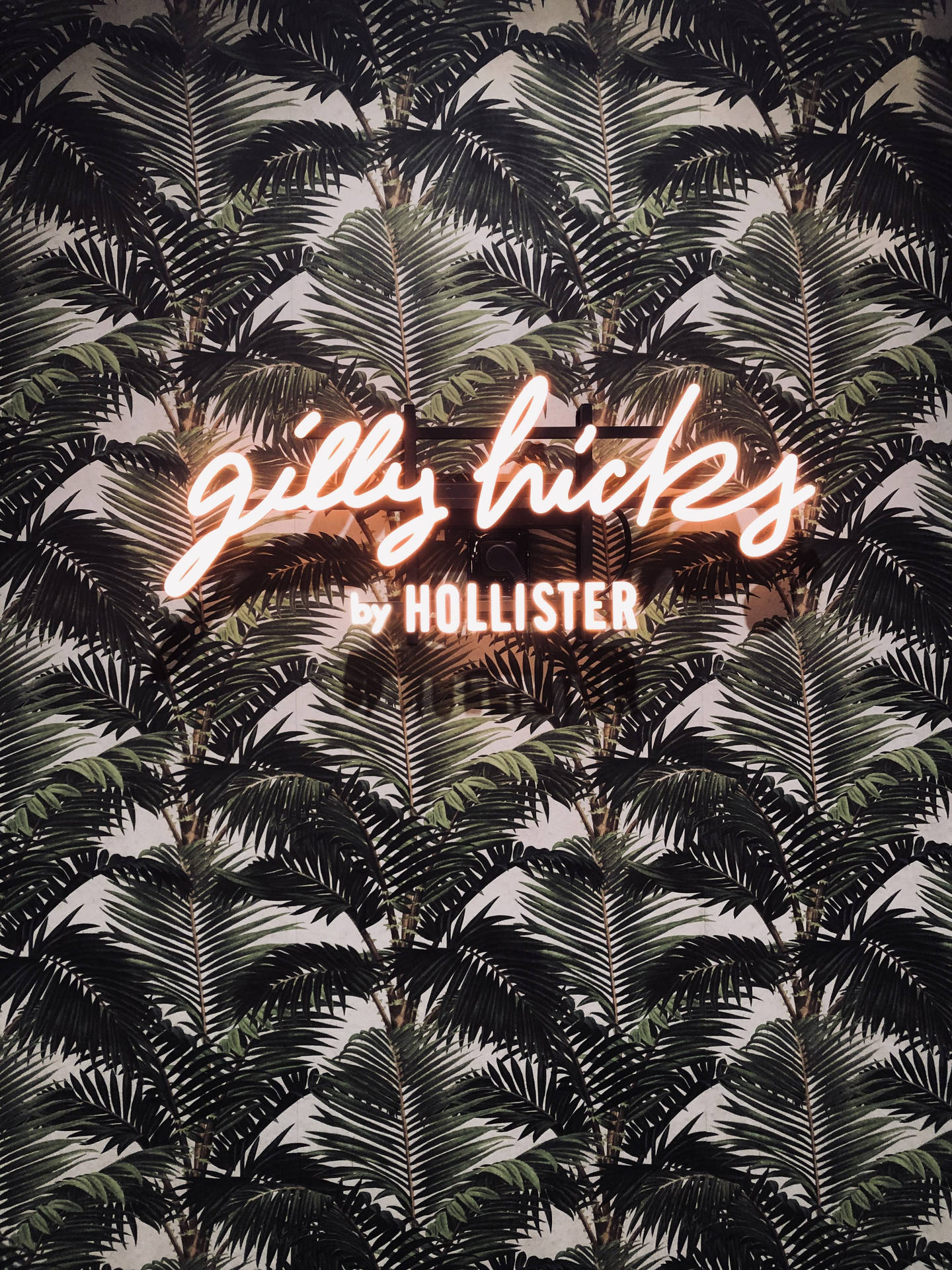 Hollister Achtergrond