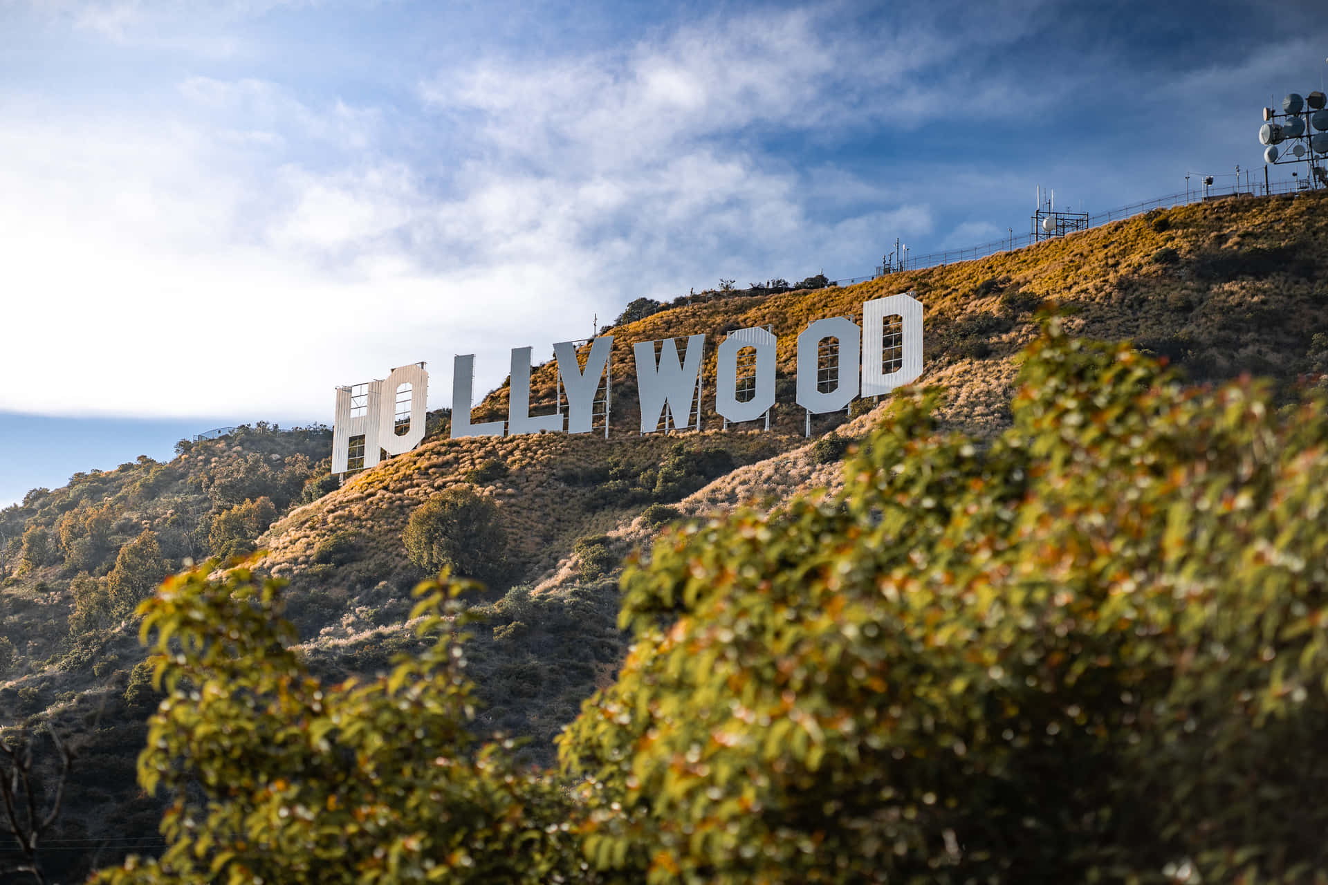 Hollywood Pictures Wallpaper