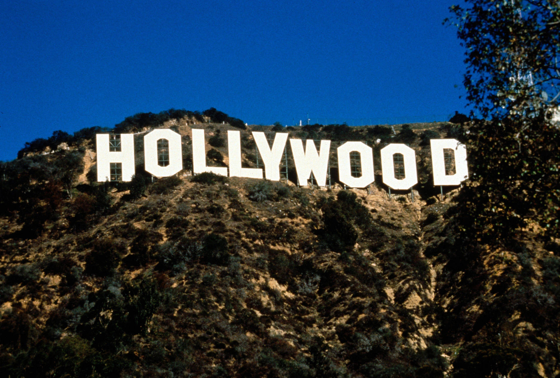Hollywood Tecken Bakgrund