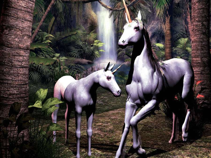 Zwei Einhörner in einem Dschungel mit einem Wasserfall — Hübsches Einhorn Wallpaper