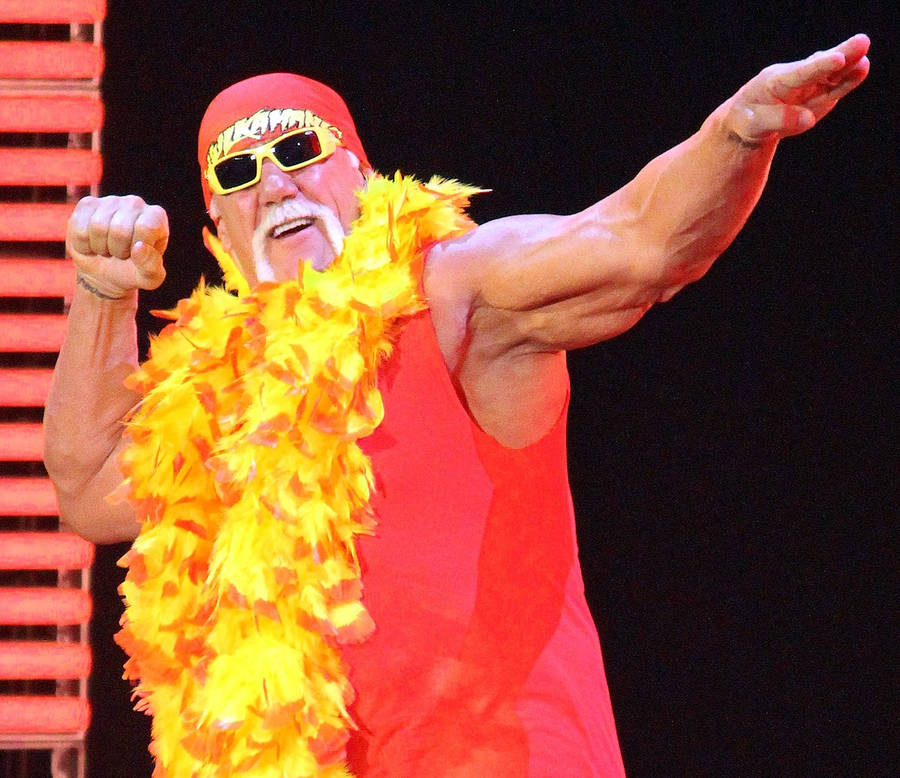 Hulk Hogan Papel de Parede