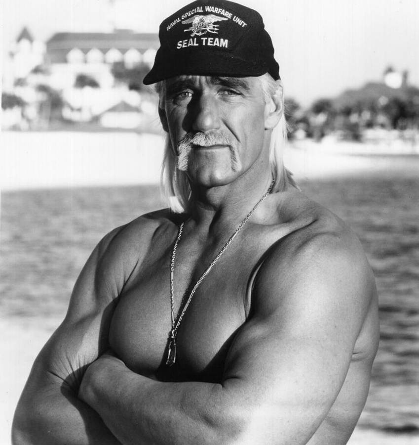 Hulk Hogan Achtergrond