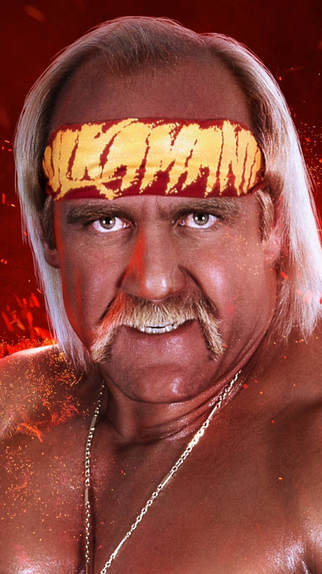Hulk Hogan Hintergrund