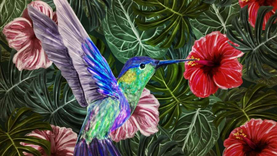 Colorful hummingbird hovering near tropical flowers with lush green leaves. — Hummingbird Background
