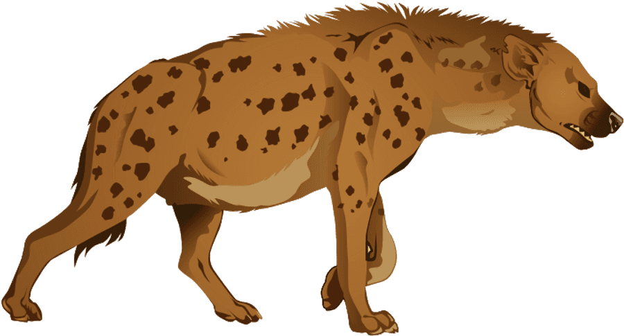 Hyena Png