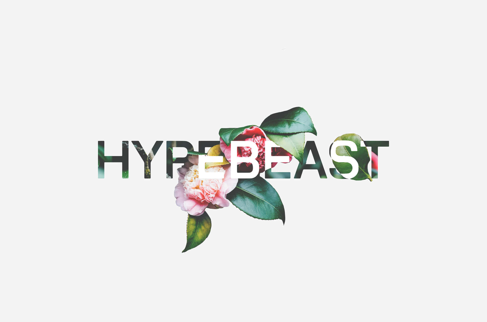 Hypebeast Pictures Wallpaper