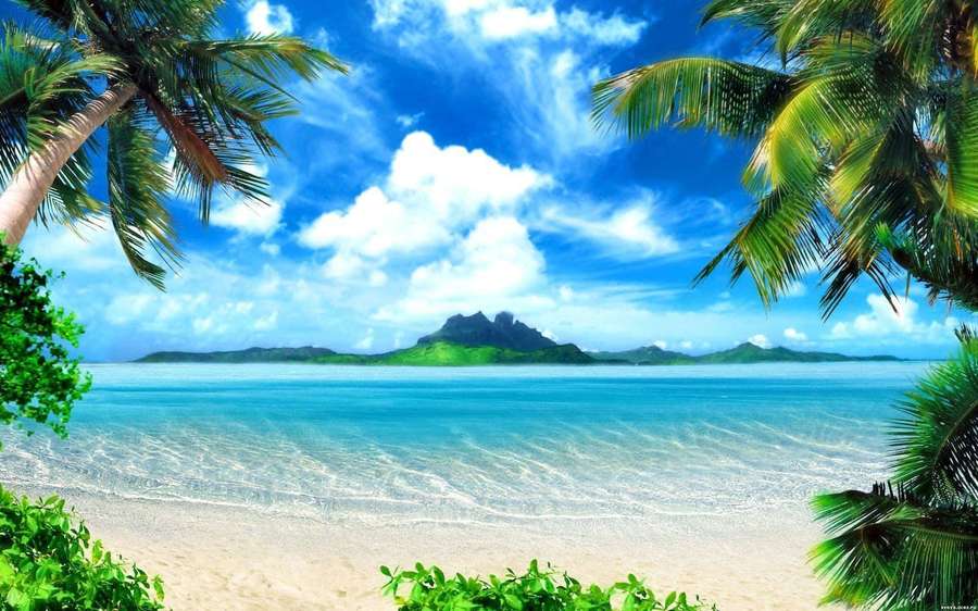 Praia tropical com palmeiras e água turquesa sob um céu azul brilhante. — Ilha Papéis de Parede