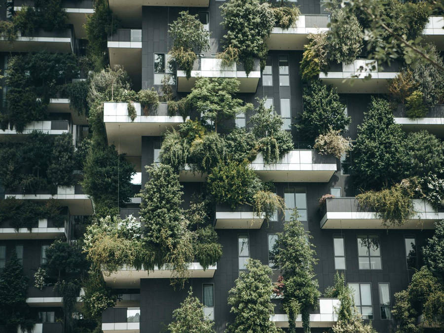 Illinois Institute Of Technology Taustakuva