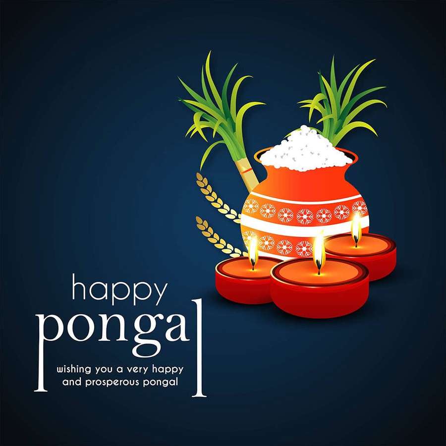 Hyvää Pongal-juhlan tervehdys padalla, riisillä, sokeriruo'olla ja kynttilöillä. — Iloinen Pongal Taustakuvat