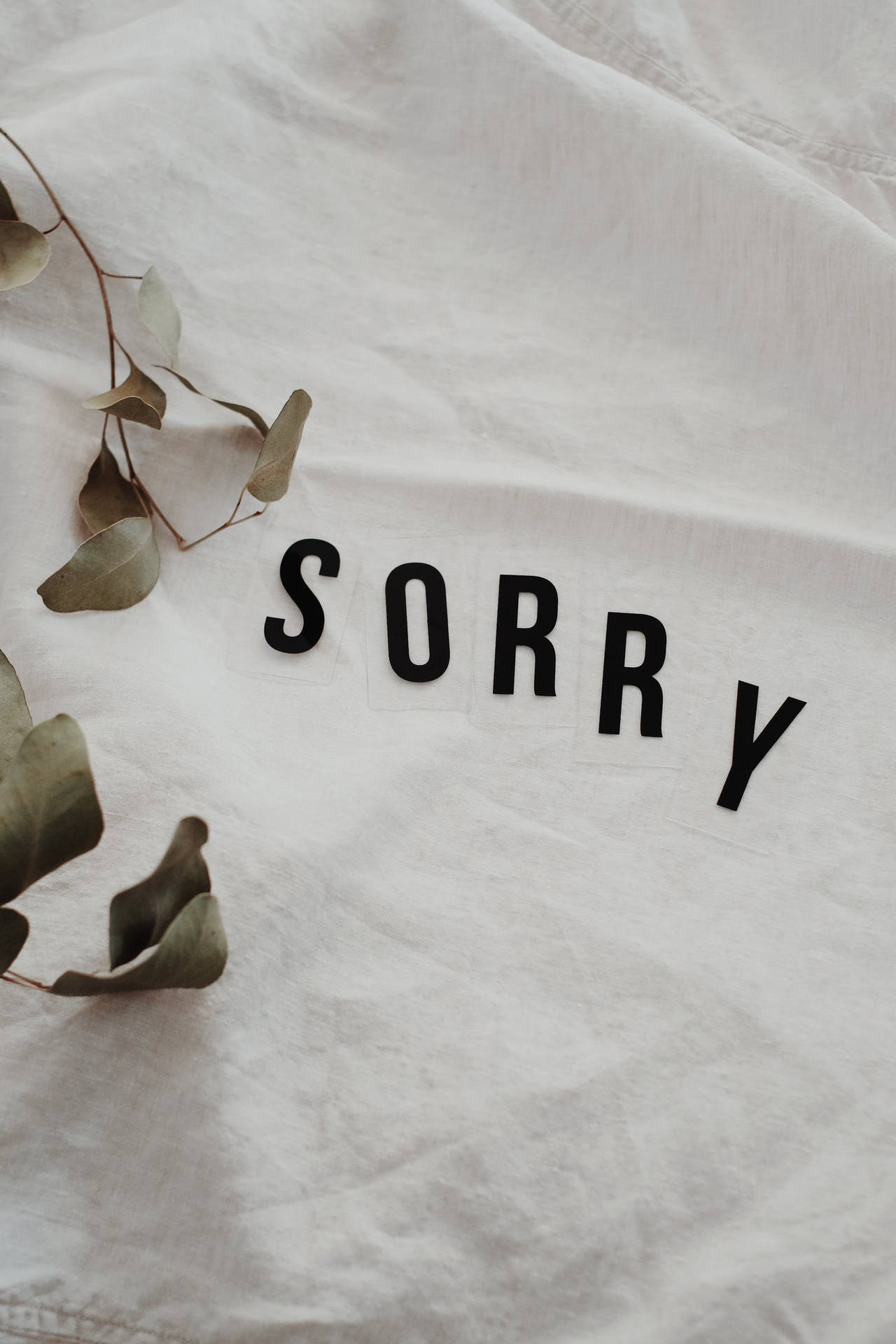 Im Sorry Pictures Wallpaper