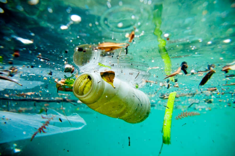 Imágenes De Contaminación Del Agua