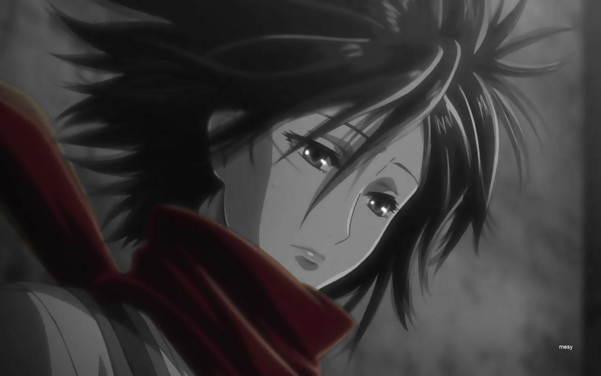 Imágenes De Mikasa