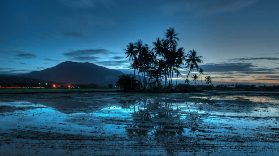Imágenes De Playa De Noche