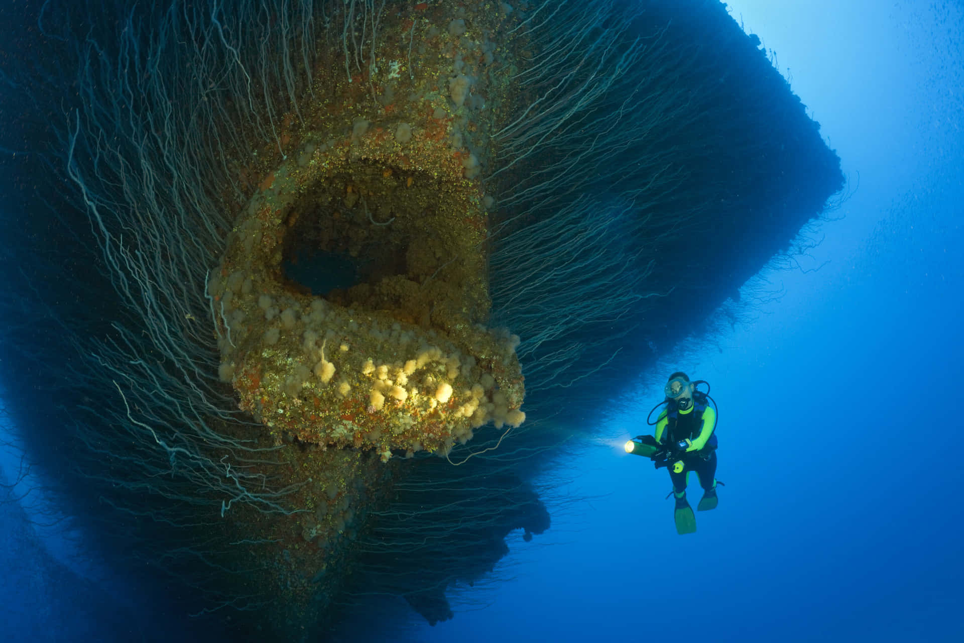 Imágenes De Un Aterrador Océano Submarino