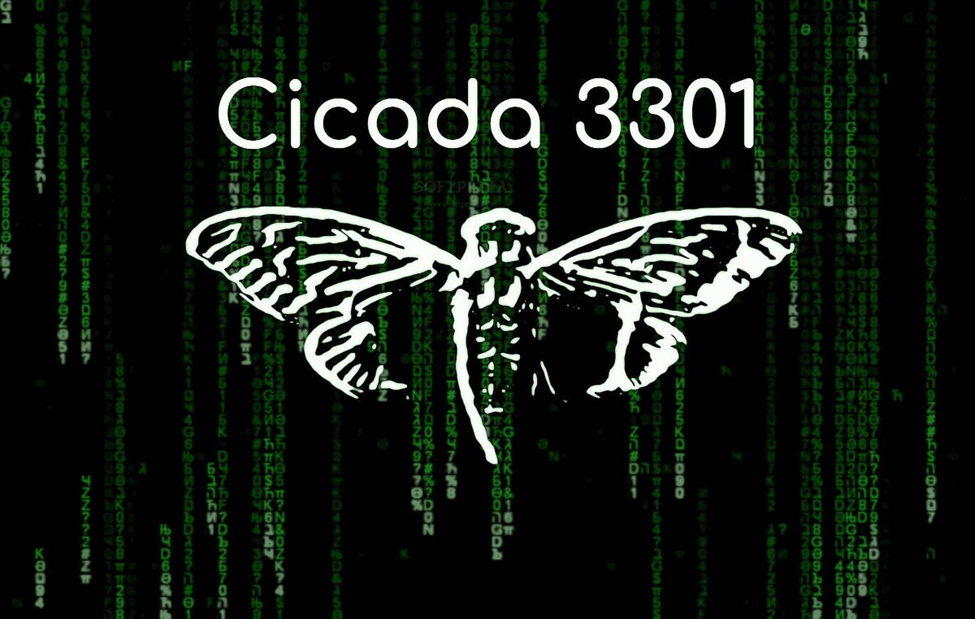 Imagens De Cicada