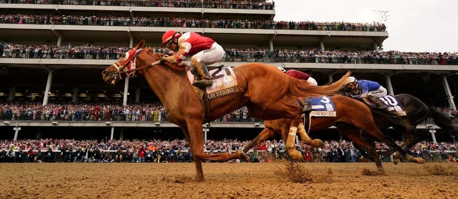 Imagens De Preakness Horses 2022