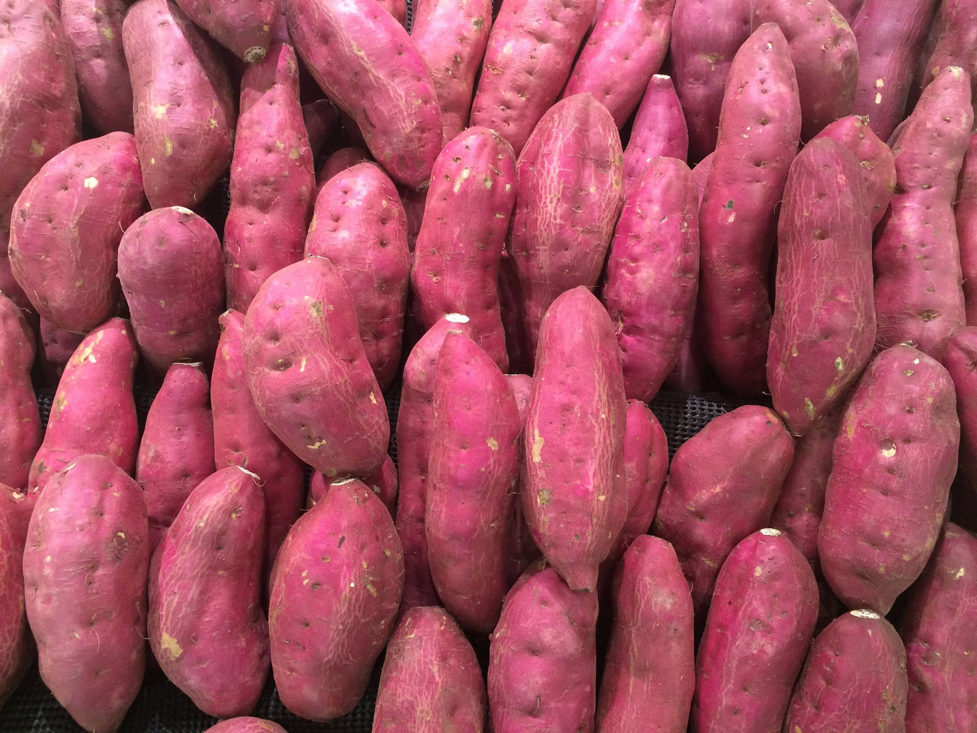 Imagens De Sweet Potato