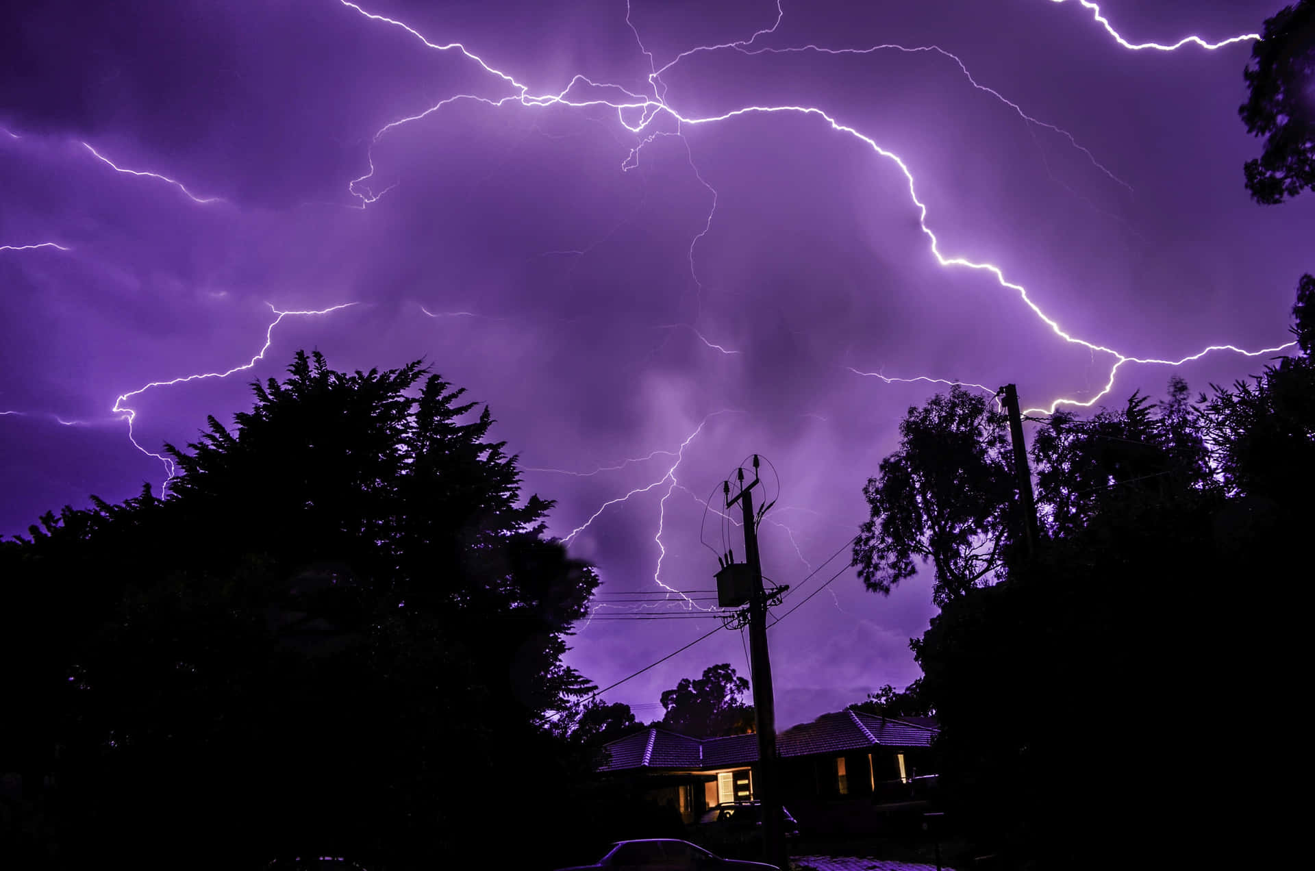 Imagens Do Purple Lightning