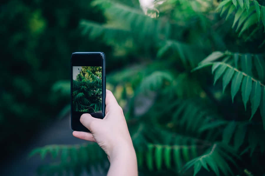 Immagini Del Telefono