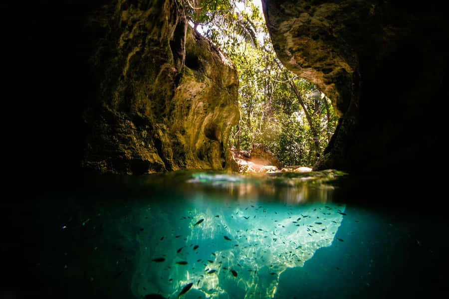 Immagini Della Grotta