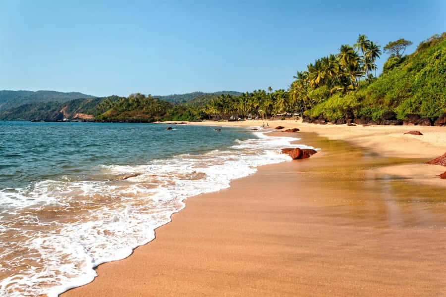 Immagini Della Spiaggia Di Goa