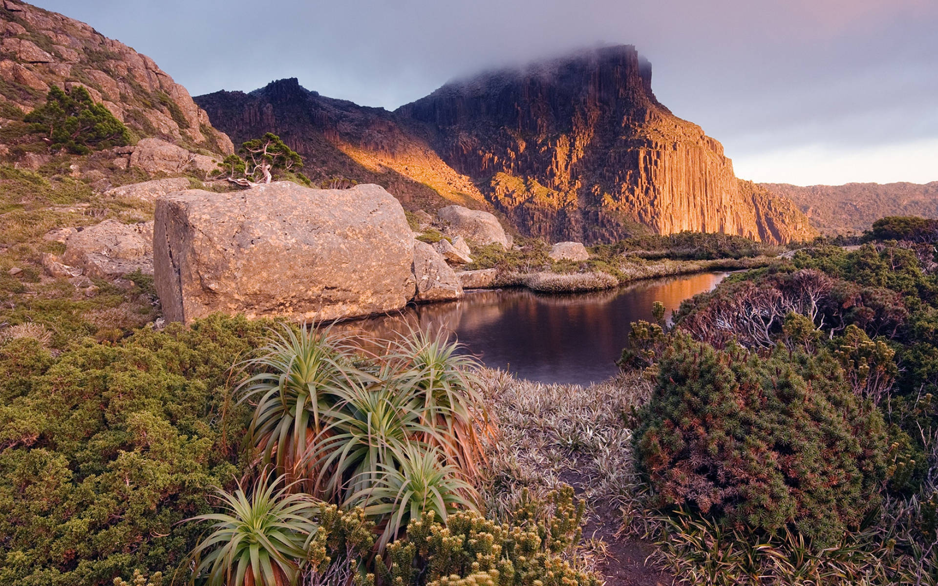 Immagini Della Tasmania