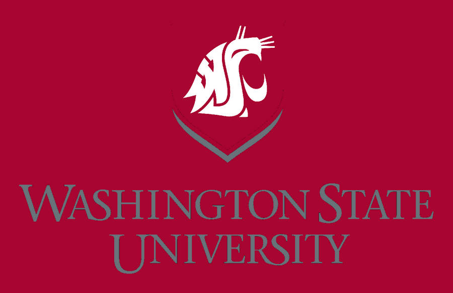 Immagini Della Washington State University