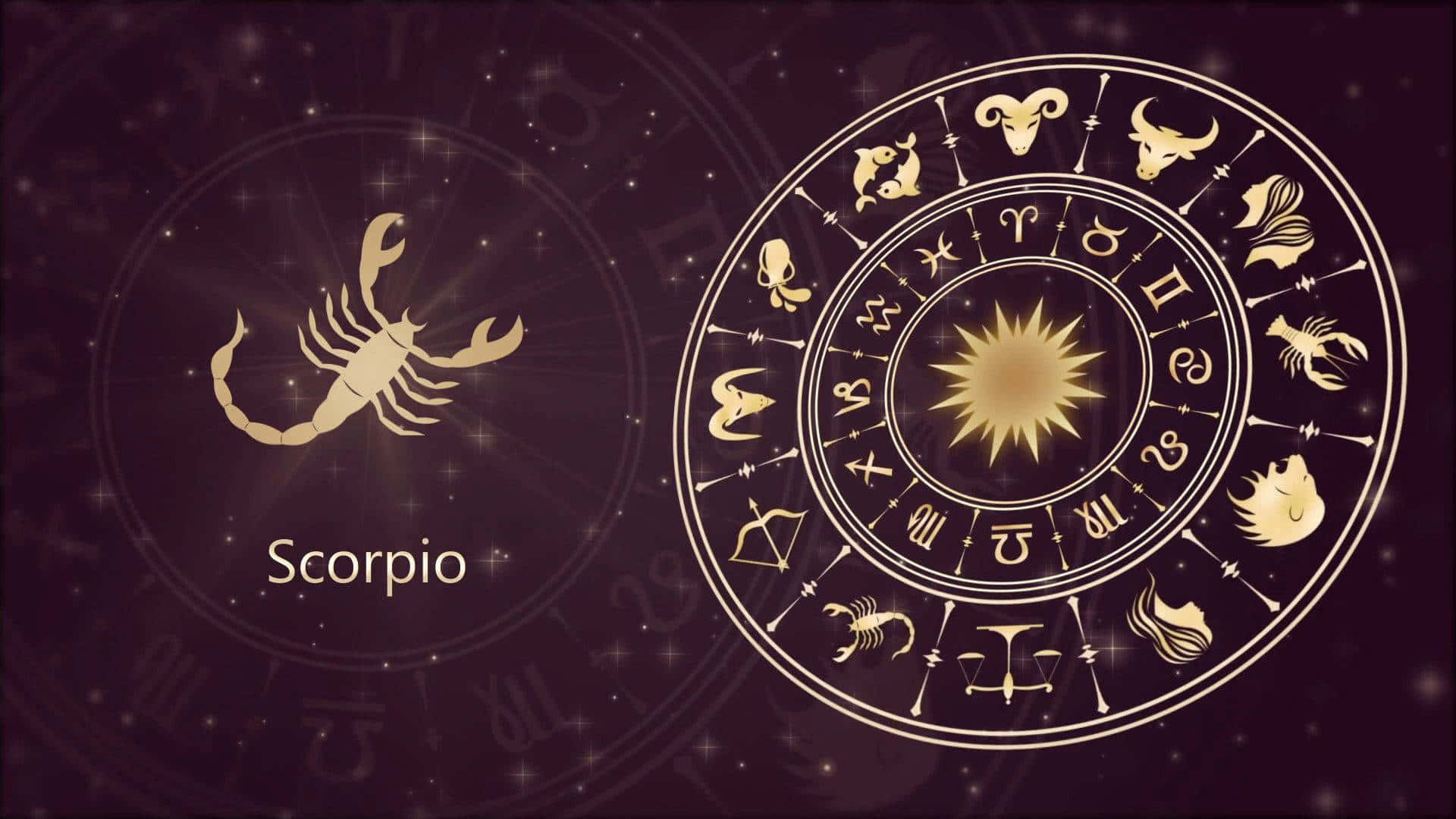 Immagini Dello Zodiaco Scorpione