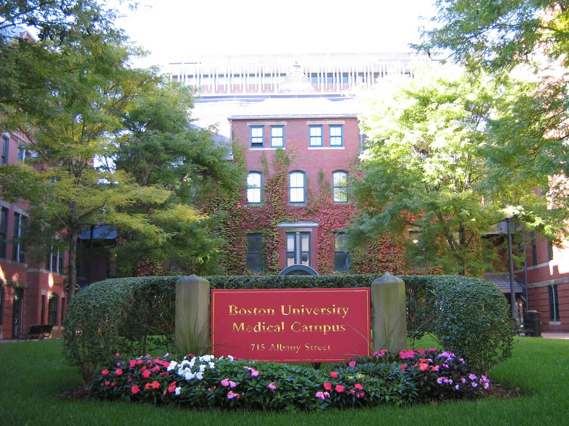 Immagini Dell'università Di Boston