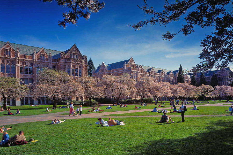 Immagini Dell'università Di Washington