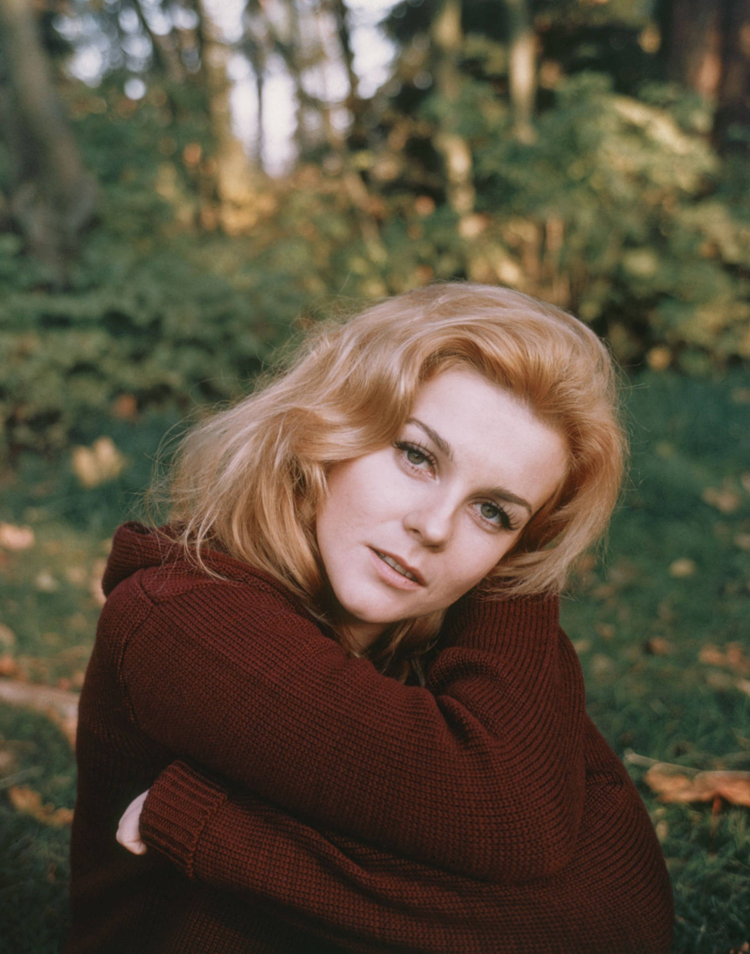 Immagini Di Ann Margaret