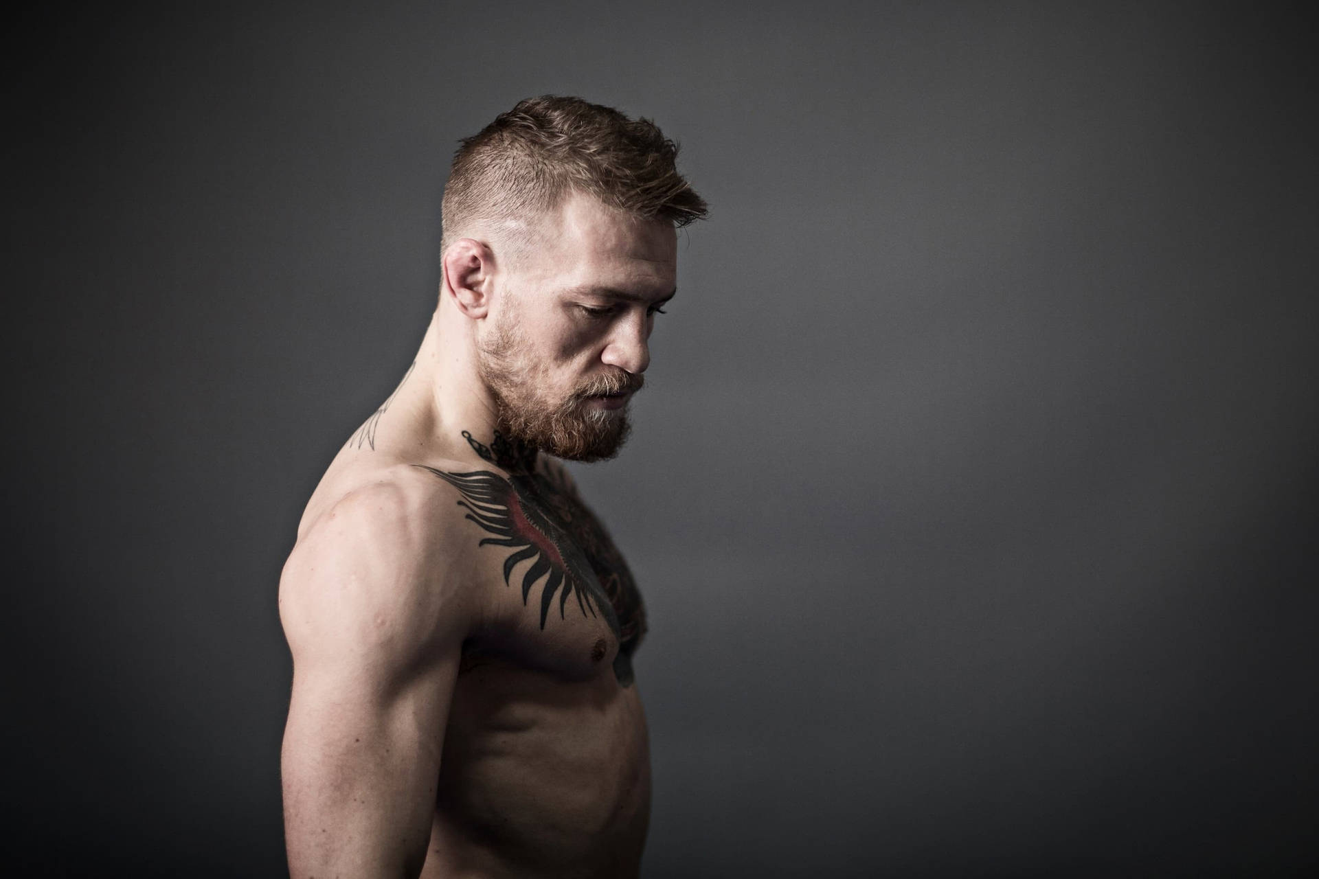 Immagini Di Conor Mcgregor