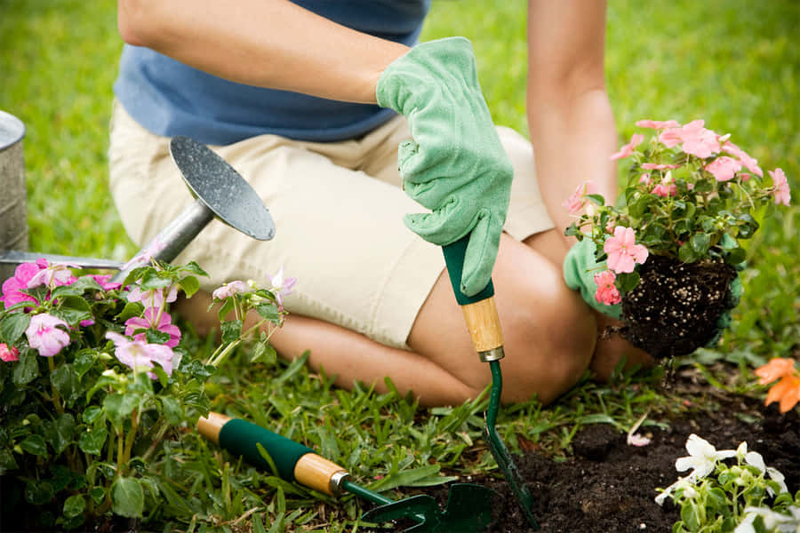 Immagini Di Giardinaggio