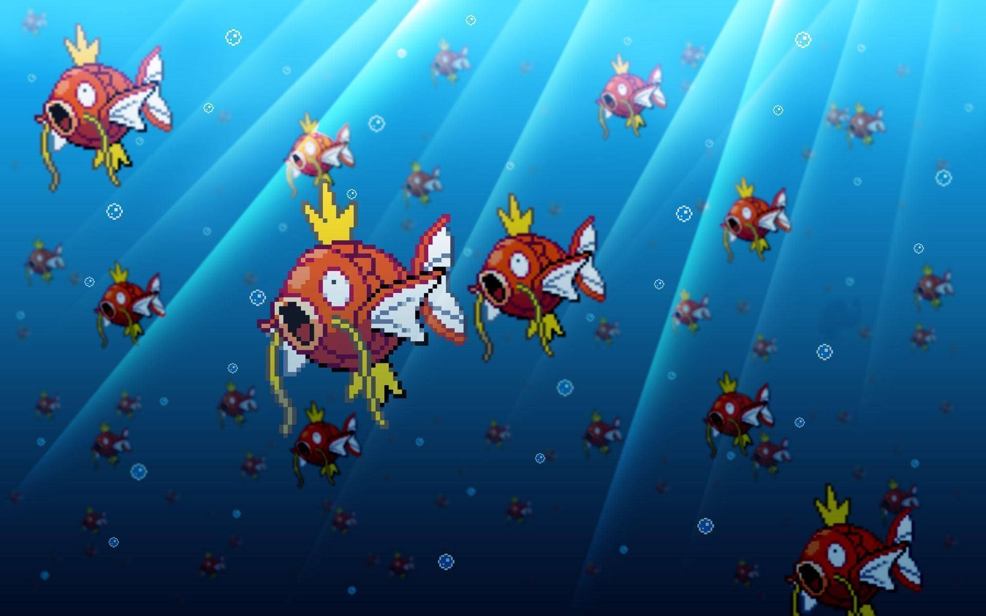 Immagini Di Magikarp