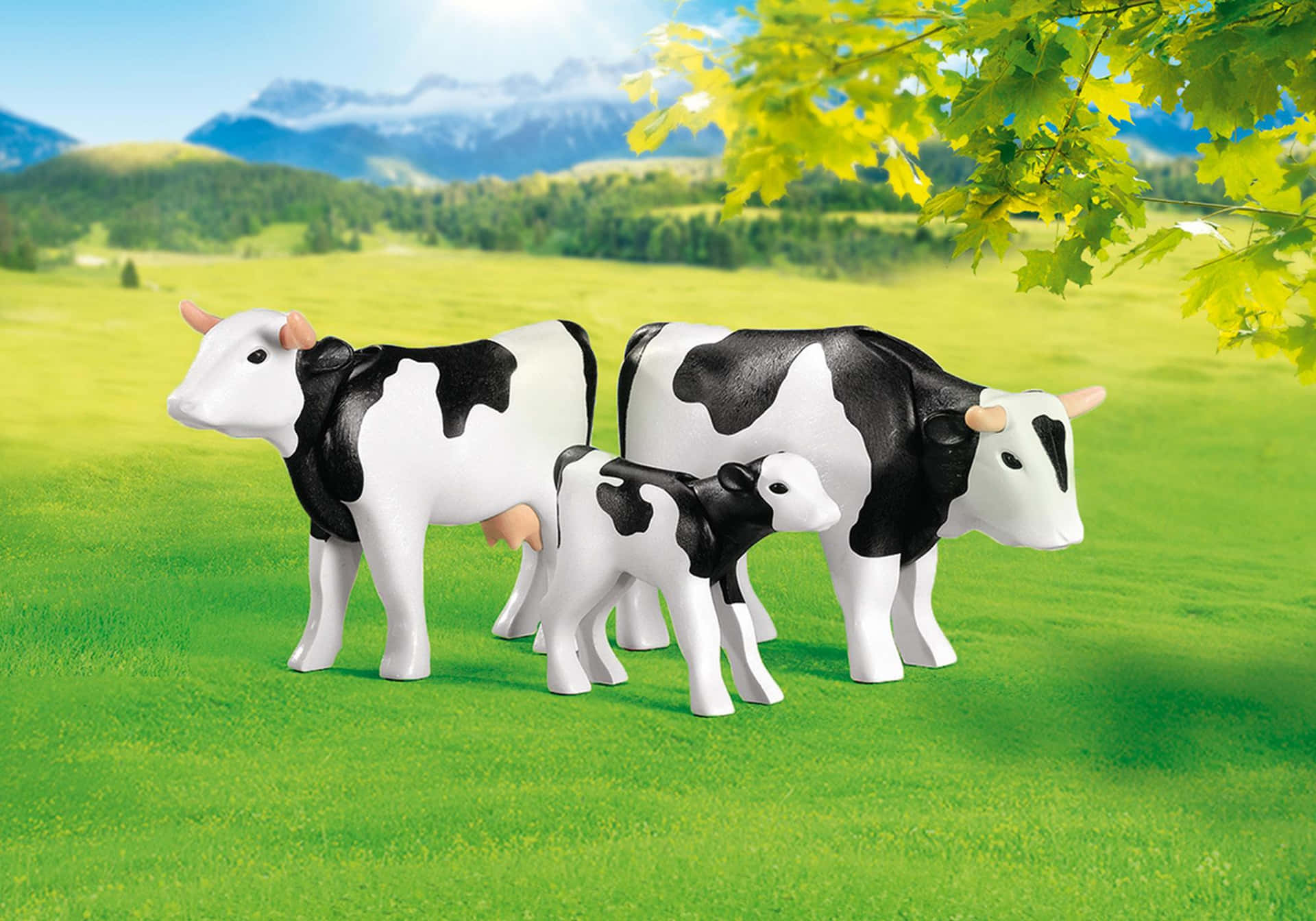 Immagini Di Mucche In Bianco E Nero