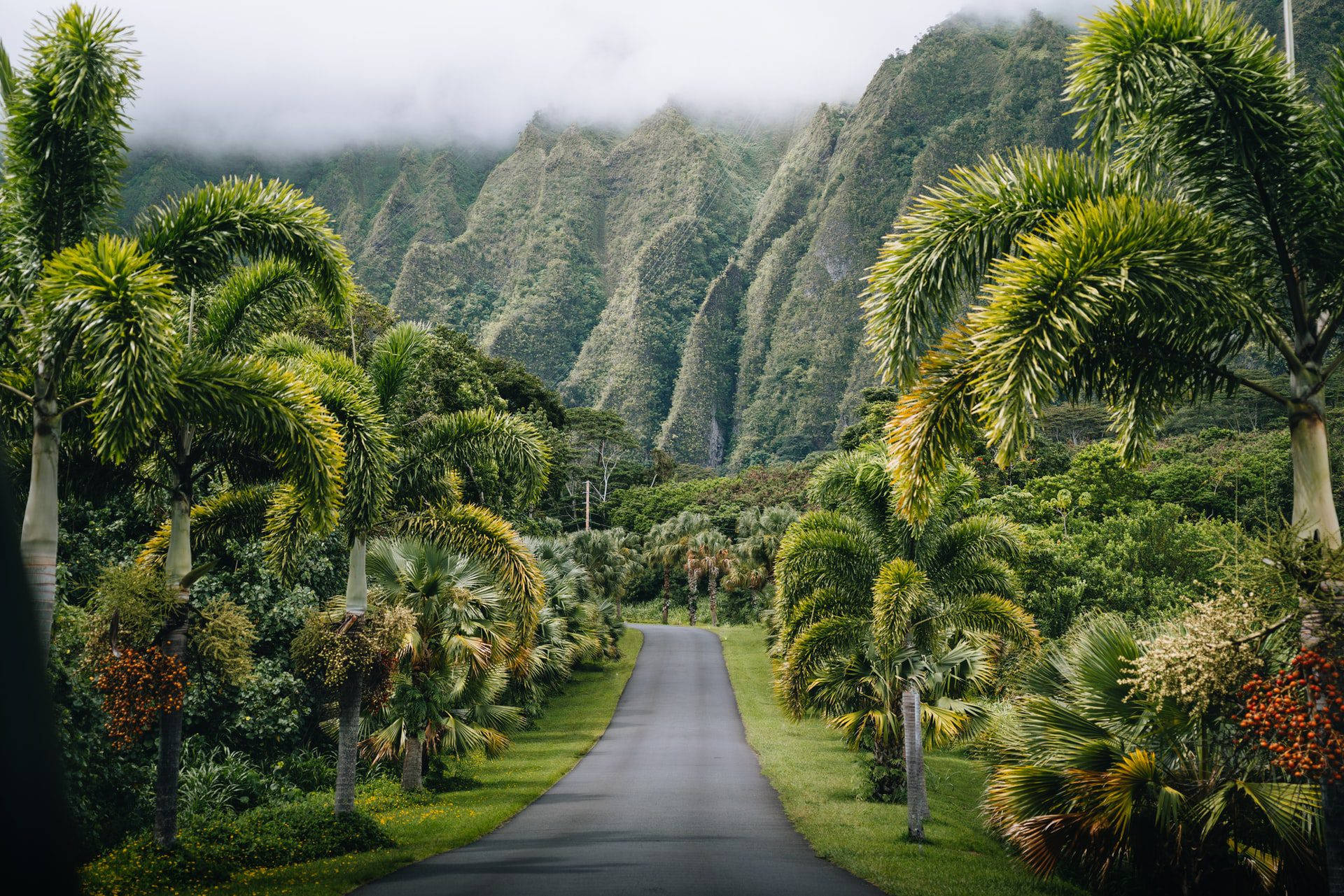 Immagini Di Oahu