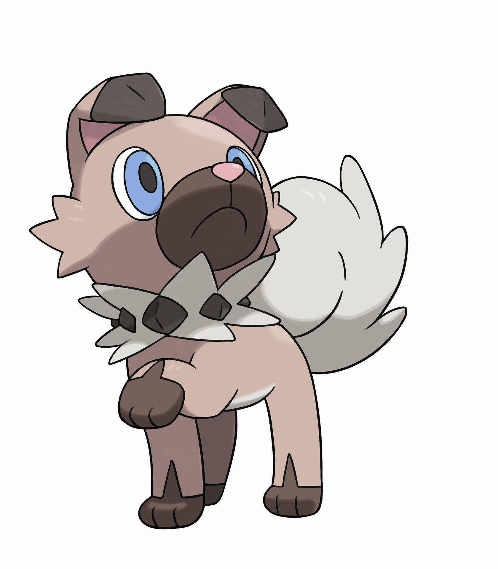 Immagini Di Rockruff