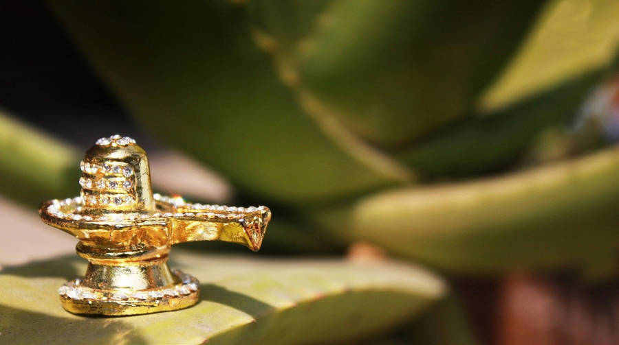 Immagini Di Shiva Lingam