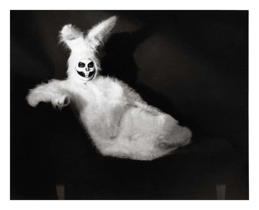 Immagini Raccapriccianti Del Coniglietto Di Pasqua