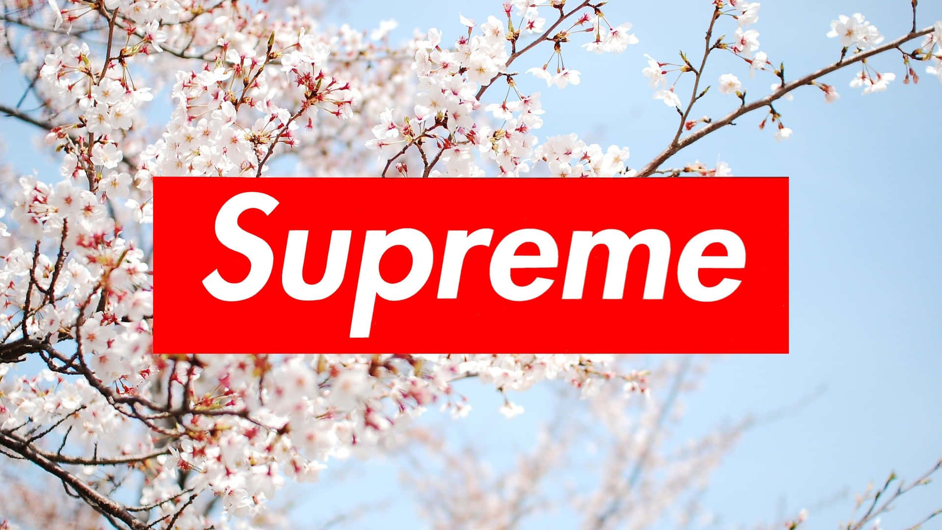 Immagini Supreme