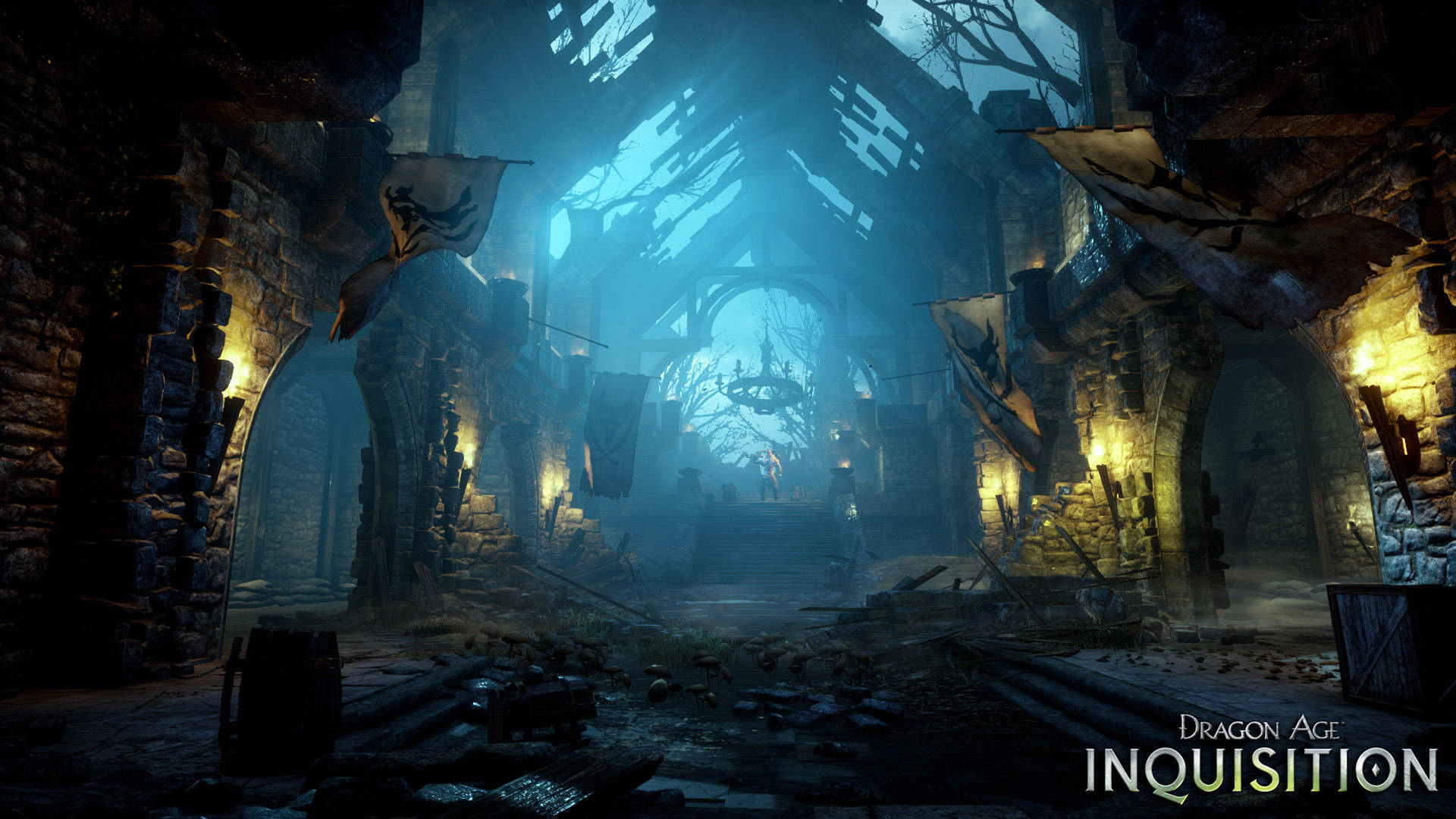 100 Dragon Age Inquisition Wallpapers  Wallpaperscom