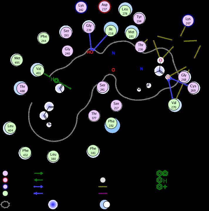 Scientific diagram of a protein's amino acid sequence and hydrogen bonding network. — Interactive PNG