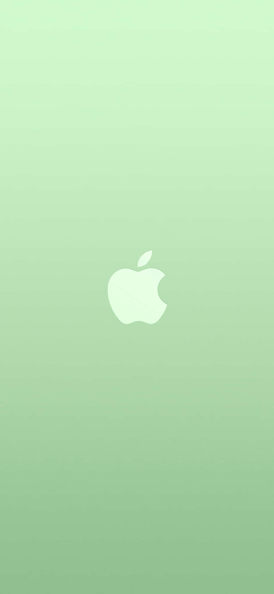 Iphone 11 Vert Fond d'écran